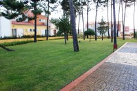 /album/galeria-de-fotos-home/common-area-5-jpg/